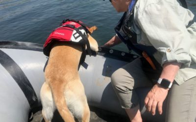 Suzanne & Kili attend a three day K9 SAR water training workshop