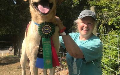 Kili Achieves Dock Diving Masters Title at 2 years Old