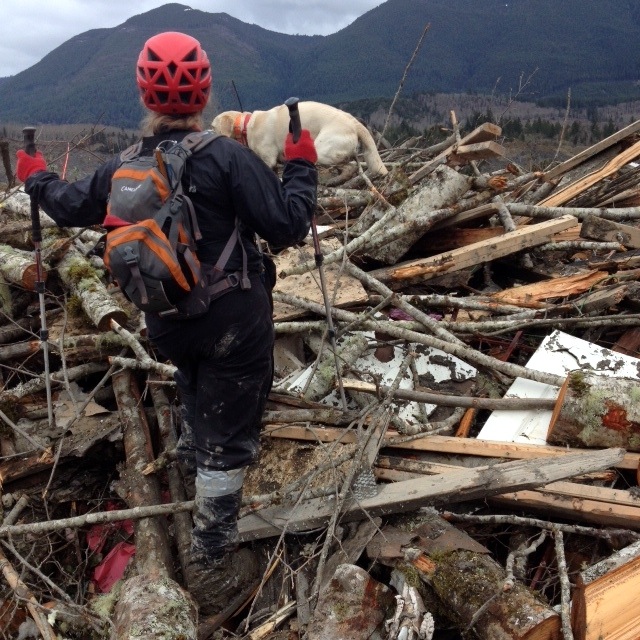 Reflections in the Aftermath of the OSO Landslide