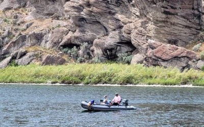 Water Training and Snake Encounters